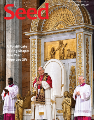 A pontificate Taking Shape: One Year of Pope Leo XIV